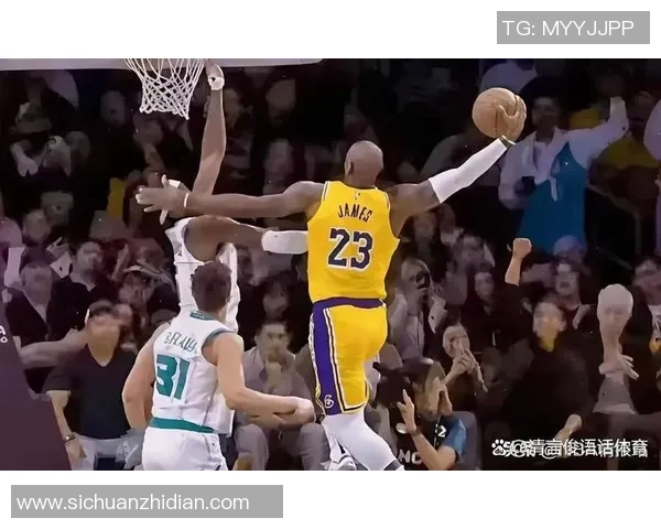 詹姆斯26分11助攻 湖人主场不敌黄蜂